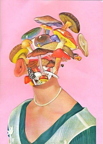 8 weeks of microdosing psilocybin mushrooms + here is what happened…. - The Bare Haus