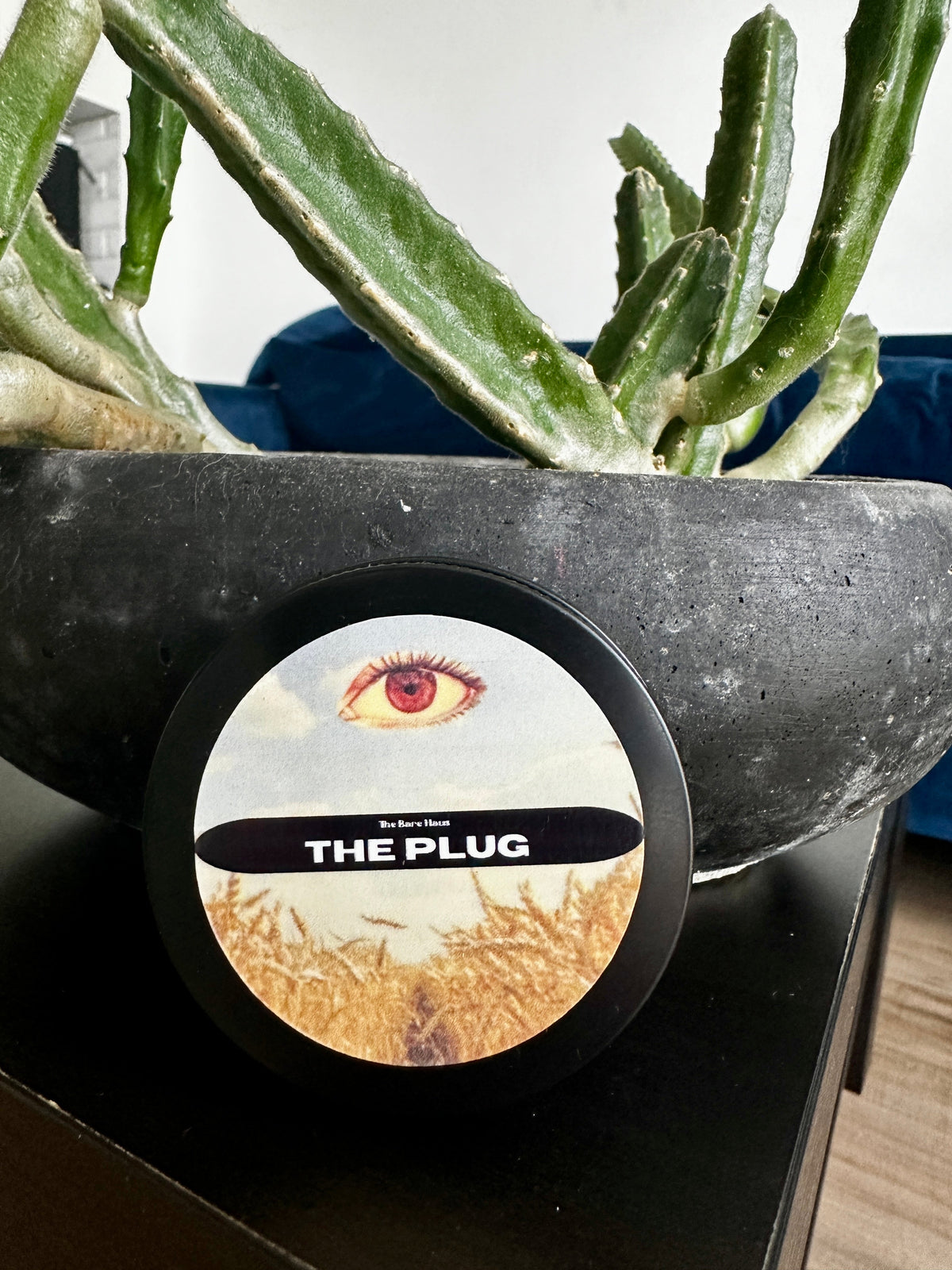 The Plug — Microdosing Capsules with Lion's Mane & Cordyceps